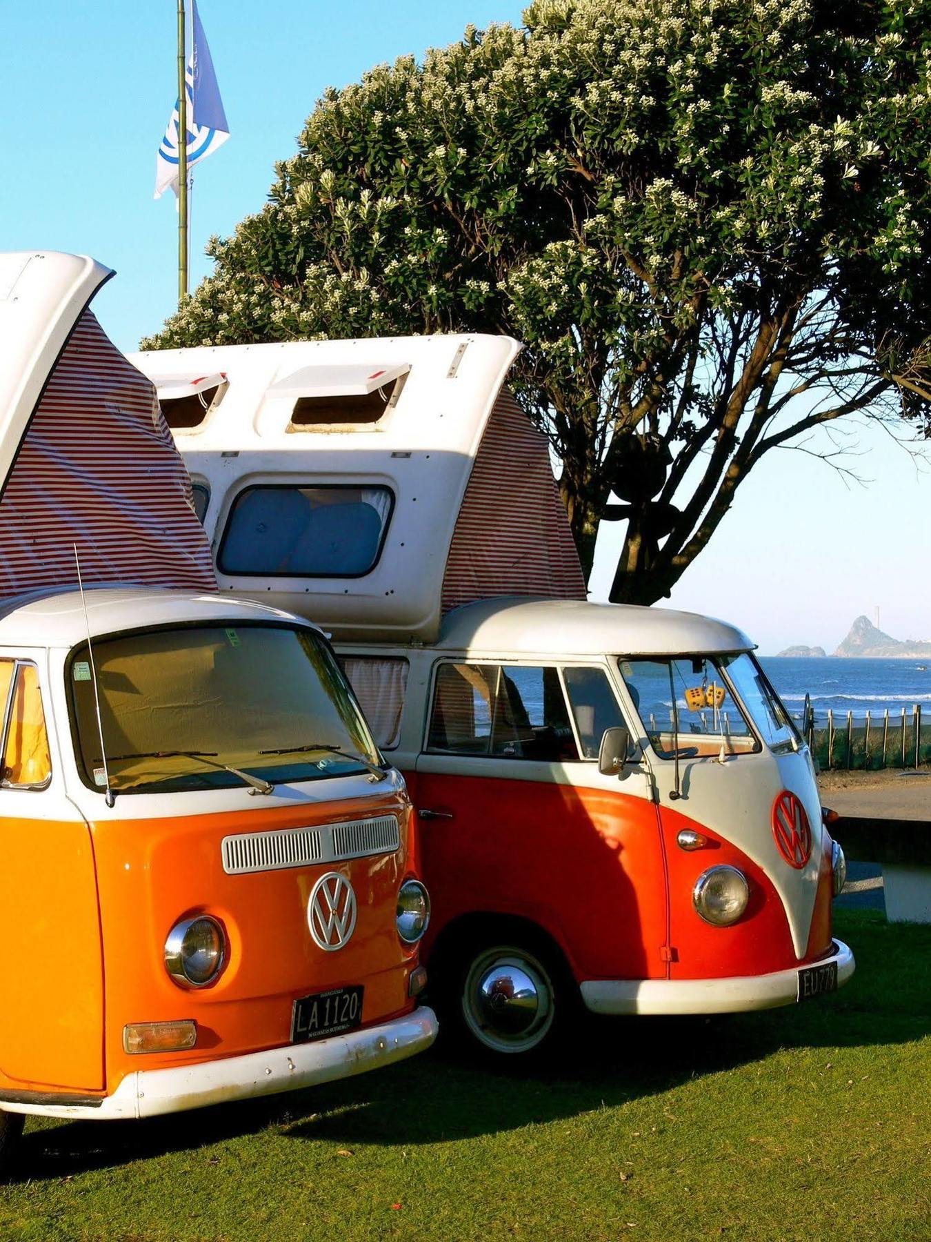 Oakura Beach Holiday Park ภายนอก รูปภาพ